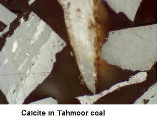 Tahmoor coal